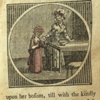 Life and Adventures of a Fly