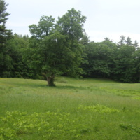 The Vaughan Homestead.