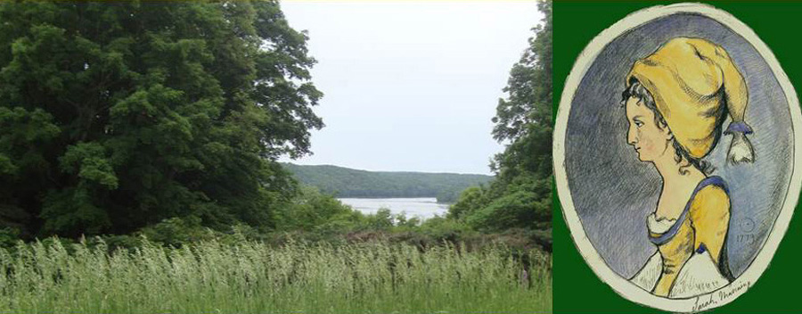 APS Museum Online Collections