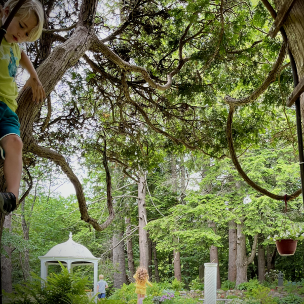 HOUSE & GARDEN TOURS 2025